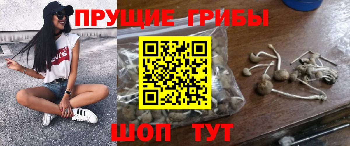 Уварово  Галлюциногенные грибы Psilocybe  Псилоцибиновые грибы Psilocybe  Вход с VPN 